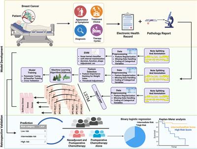 The innovative model based on artificial intelligence algorithms to predict recurrence risk of patients with postoperative breast cancer